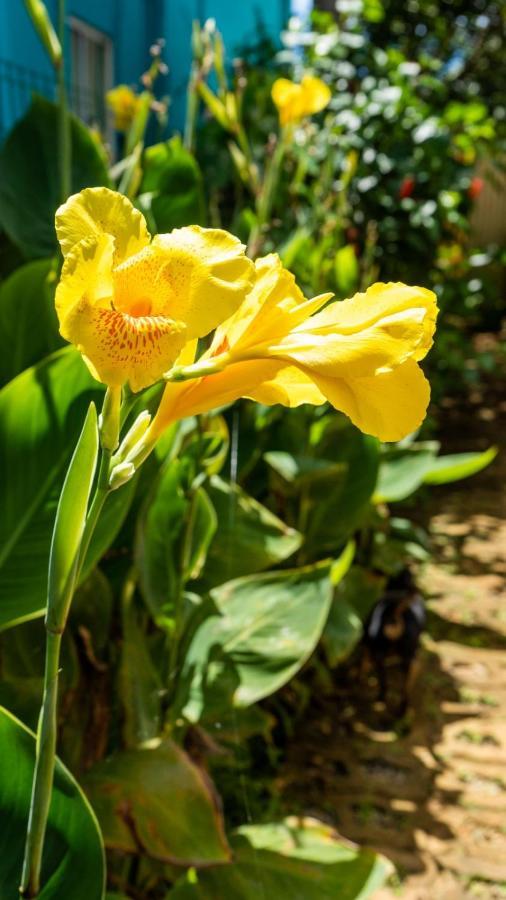 Pousada Flor Do Atlantico Fernando de Noronha Exterior foto